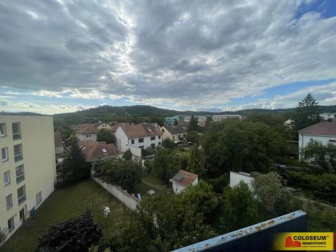 Pronájem bytu 1+1, Kuřim, 25 m2