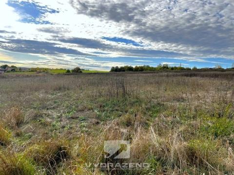 Prodej louky, Libeř, 4429 m2