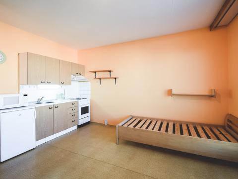 Pronájem bytu 1+kk, Brno - Nový Lískovec, Oblá, 32 m2