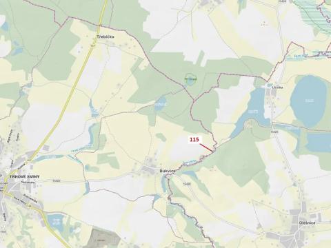 Dražba lesa, Trhové Sviny, 590 m2