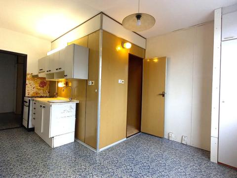 Prodej bytu 1+1, Ústí nad Labem - Severní Terasa, Kmochova, 44 m2