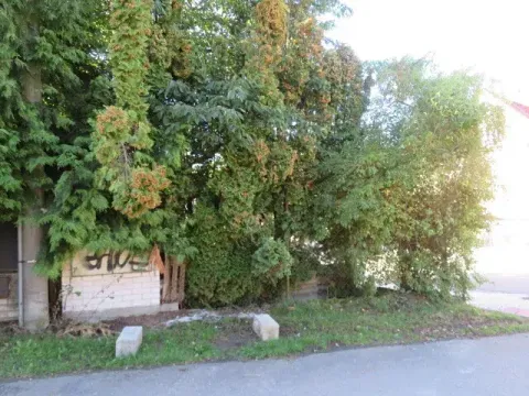 Dražba pozemku, Pyšely, 77 m2