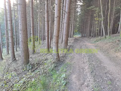 Prodej lesa, Zlín, 152613 m2