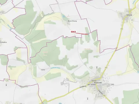 Dražba lesa, Koloveč, 703 m2