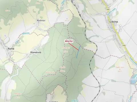 Dražba lesa, Nová Hradečná, 12014 m2