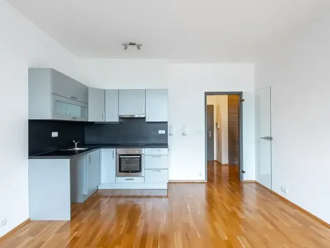Pronájem bytu 2+kk, Praha - Vinohrady, Korunní, 64 m2