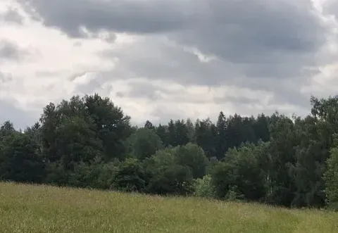 Prodej pozemku, Pomezí nad Ohří, 39941 m2