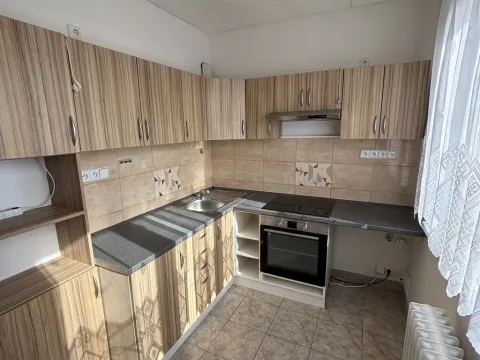 Pronájem bytu 2+1, Habartov, Karla Čapka, 53 m2