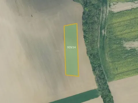 Prodej pole, Dnešice, 3831 m2