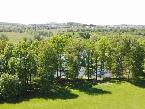 Prodej pole, Šluknov, 1989 m2