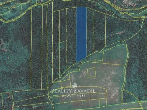 Prodej lesa, Hradec nad Moravicí - Filipovice, 11917 m2