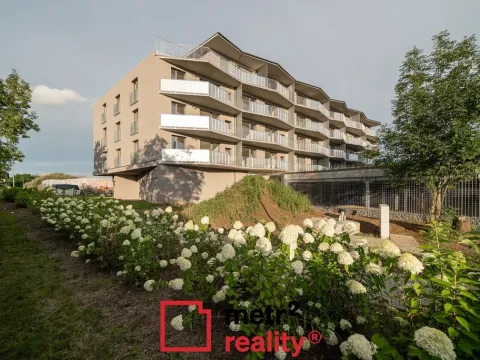 Pronájem bytu 1+kk, Olomouc, U solných mlýnů, 41 m2