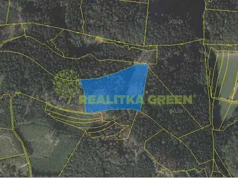 Prodej lesa, Růžďka, 21209 m2