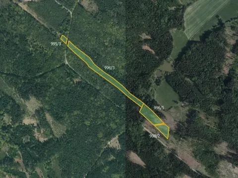 Prodej lesa, Horní Radouň, 21861 m2