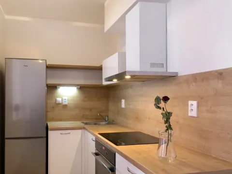 Pronájem bytu 1+kk, Brno, Gajdošova, 46 m2