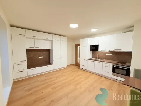 Pronájem bytu 1+kk, České Budějovice, Dobrovodská, 31 m2