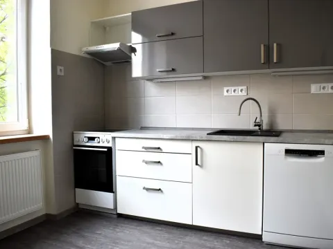 Pronájem bytu 2+1, Plzeň - Východní Předměstí, Krejčíkova, 62 m2