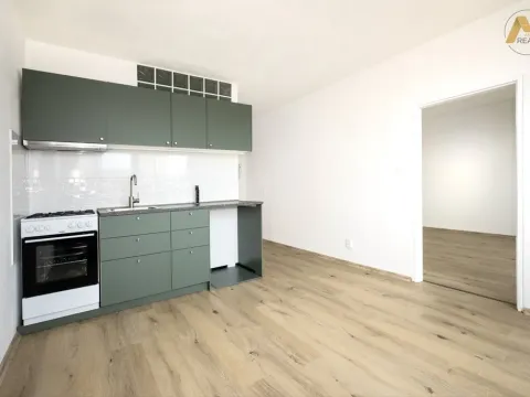 Pronájem bytu 1+1, Písek - Budějovické Předměstí, třída Přátelství, 37 m2