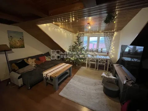 Pronájem bytu 3+kk, Hlušovice, U Parku, 100 m2