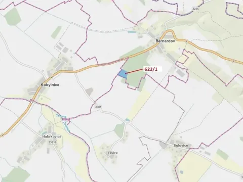 Dražba lesa, Bernardov, 12017 m2