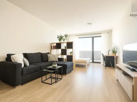 Prodej bytu 1+kk, Brno, Řípská, 45 m2