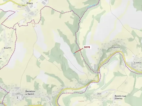 Dražba lesa, Benešov u Semil, 1110 m2