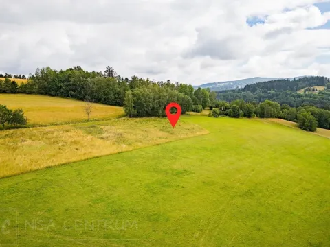 Prodej louky, Víchová nad Jizerou, 991 m2