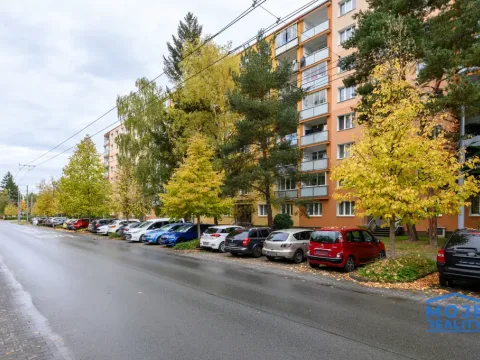 Prodej bytu 2+1, Plzeň - Doudlevce, Skupova, 62 m2