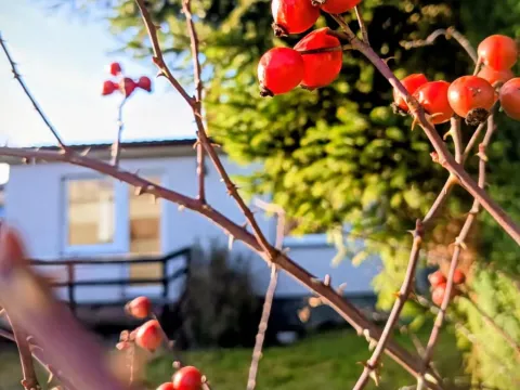 Prodej rodinného domu, Rokycany - Nové Město, Luční, 55 m2