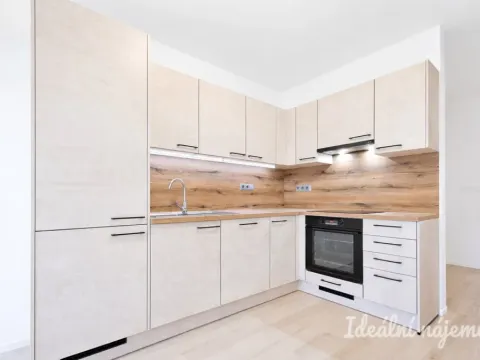 Pronájem bytu 1+kk, Brno, Dornych, 37 m2