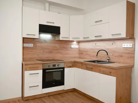 Pronájem bytu 2+kk, Praha - Nusle, Družstevní, 45 m2