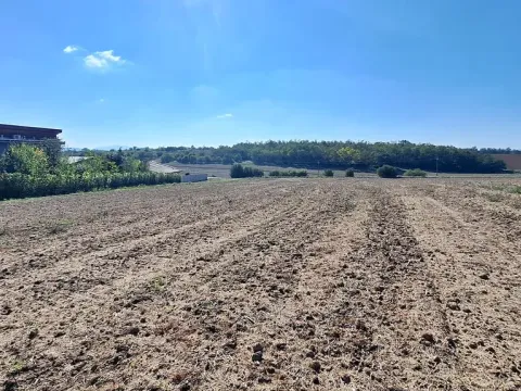 Prodej pozemku pro bydlení, Hrušovany u Brna, Pod Střediskem, 767 m2