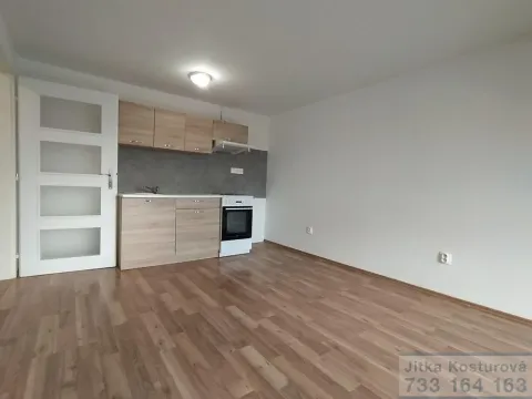 Pronájem bytu 1+kk, Krnov - Pod Bezručovým vrchem, Albrechtická, 36 m2