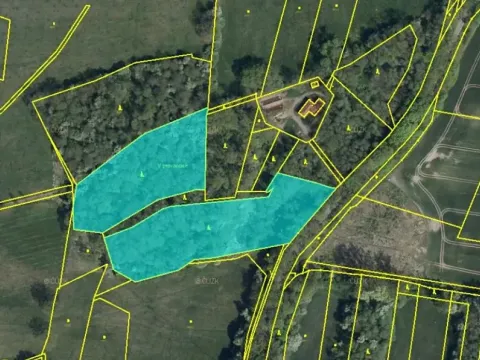 Prodej lesa, Jaroměř, 19276 m2