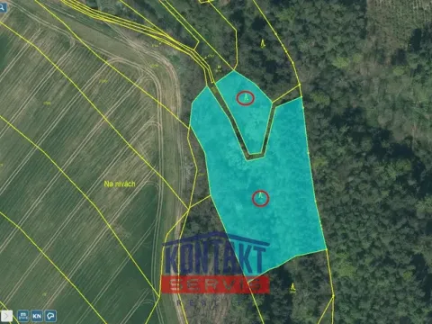 Prodej lesa, Bečice, 23812 m2