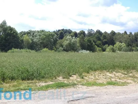 Prodej pozemku, Batelov - Bezděčín, 4944 m2