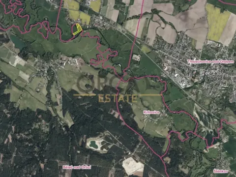 Prodej louky, Běleč nad Orlicí, 15624 m2