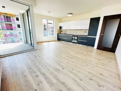 Pronájem bytu 2+kk, Ostrava - Moravská Ostrava, F. X. Riepla, 60 m2