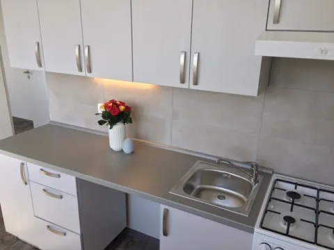 Pronájem bytu 2+1, Ostrava - Hrabůvka, Dr. Martínka, 52 m2