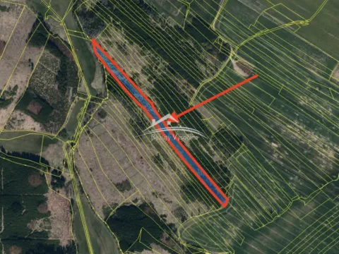 Prodej lesa, Žirovnice, 8890 m2