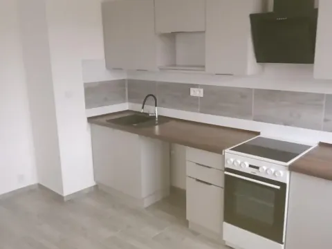 Pronájem bytu 3+1, Most, K. H. Borovského, 61 m2