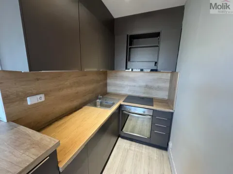 Pronájem bytu 1+kk, Most, Pod Šibeníkem, 32 m2