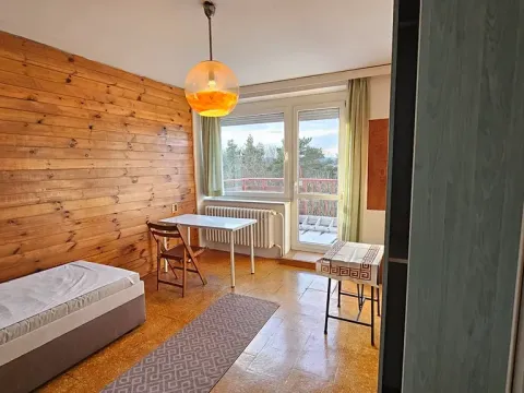 Pronájem pokoje, Praha - Dejvice, Starého, 15 m2