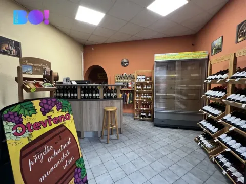 Pronájem obchodního prostoru, Karviná, Zámecká, 32 m2