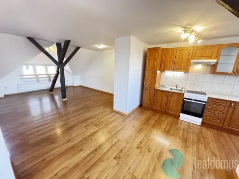 Pronájem bytu 1+kk, České Budějovice, Jírovcova, 68 m2