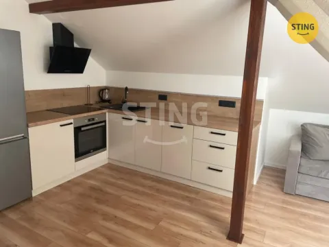 Pronájem bytu 2+kk, Ostrava, Bajgarova, 77 m2