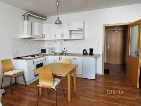 Pronájem bytu 1+kk, Písek, V Portyči, 31 m2