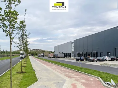 Pronájem skladu, Ostrava - Hrušov, Žižkova, 13500 m2