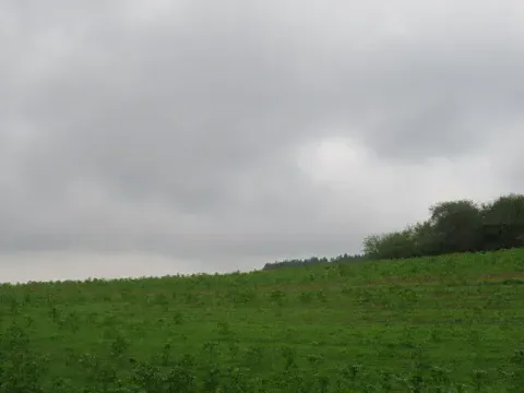 Dražba pole, Týn nad Vltavou, 26214 m2