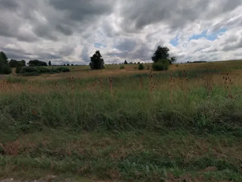 Prodej pozemku pro bydlení, Trhové Sviny, U Cihelny, 2258 m2